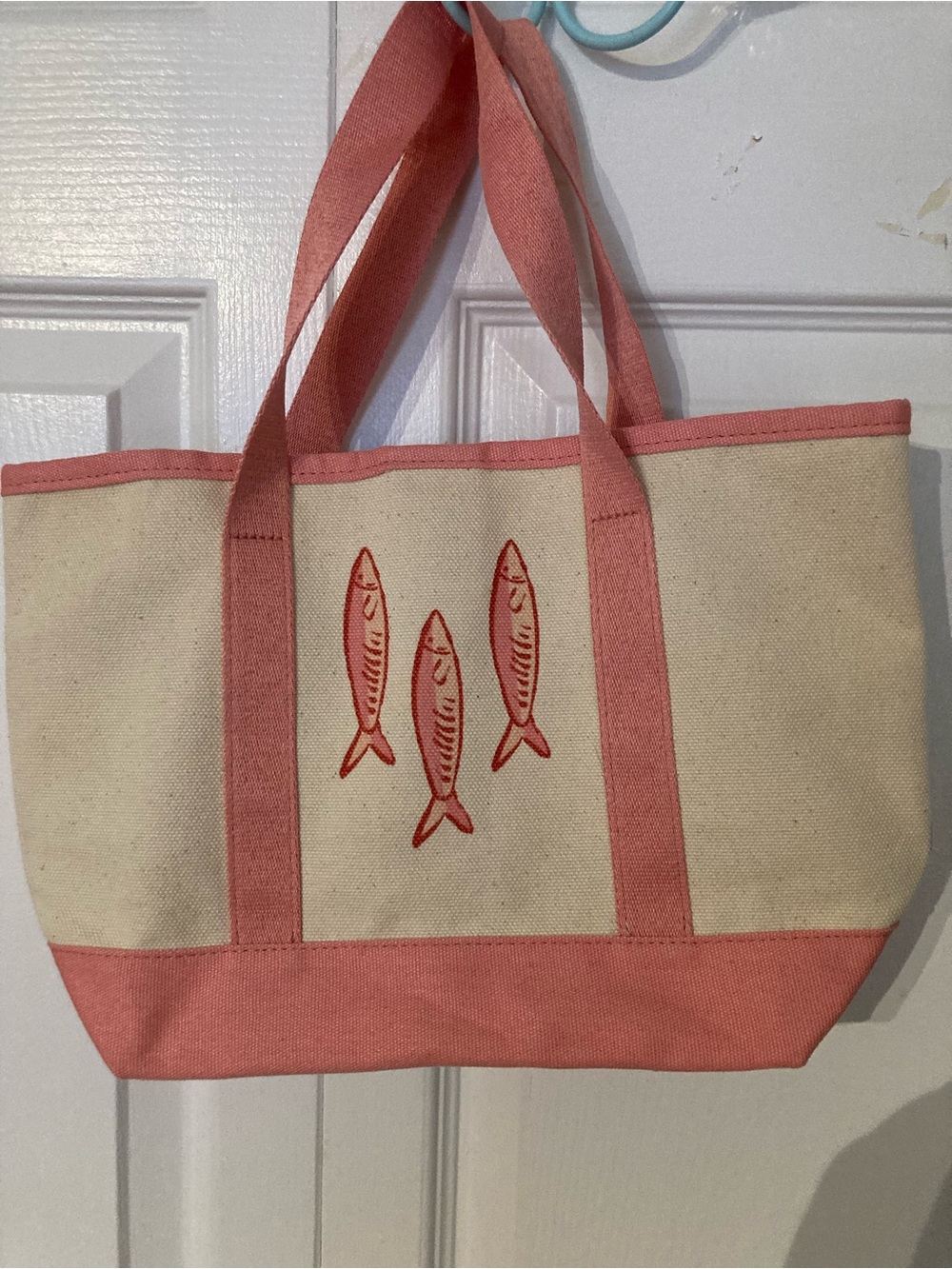 Canvas Fish Tote Bag in Coral and Cream - Pet Fish Theme